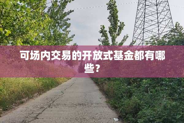 可场内交易的开放式基金都有哪些？