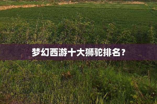 梦幻西游十大狮驼排名？