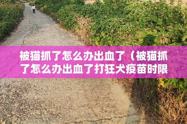 被猫抓了怎么办出血了（被猫抓了怎么办出血了打狂犬**时限）
