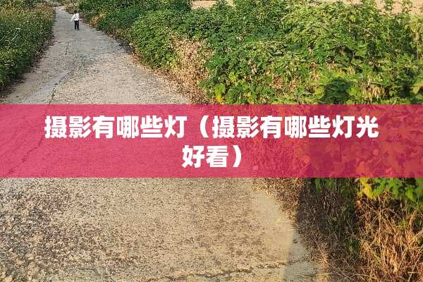 摄影有哪些灯（摄影有哪些灯光好看）