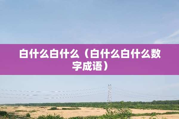 白什么白什么（白什么白什么数字成语）