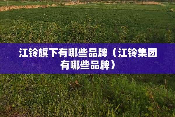江铃旗下有哪些品牌（江铃集团有哪些品牌）