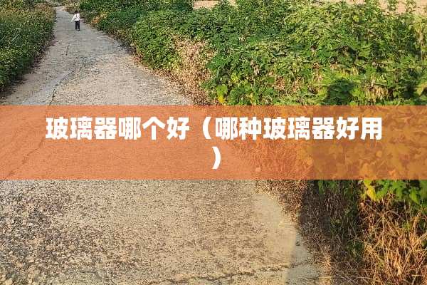 玻璃器哪个好（哪种玻璃器好用）