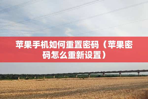 苹果手机如何重置密码（苹果密码怎么重新设置）