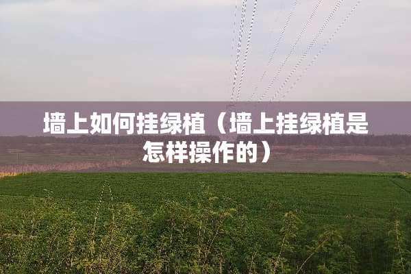 墙上如何挂绿植（墙上挂绿植是怎样操作的）