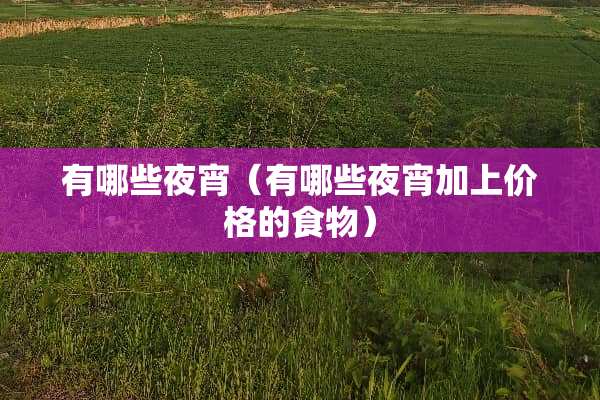 有哪些夜宵（有哪些夜宵加上价格的食物）