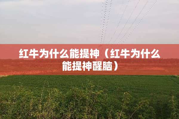 红牛为什么能提神（红牛为什么能提神醒脑）
