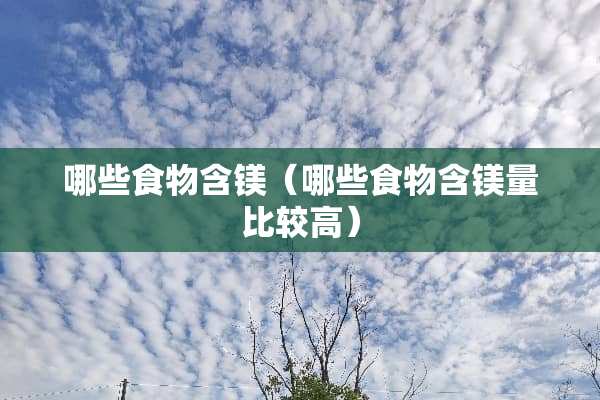 哪些食物含镁（哪些食物含镁量比较高）