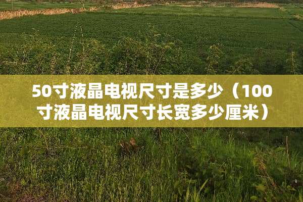 50寸液晶电视尺寸是多少（100寸液晶电视尺寸长宽多少厘米）