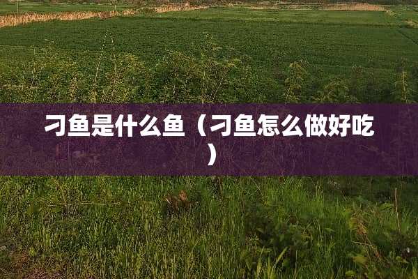 刁鱼是什么鱼（刁鱼怎么做好吃）