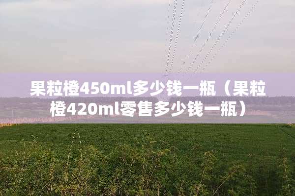 果粒橙450ml多少钱一瓶（果粒橙420ml零售多少钱一瓶）