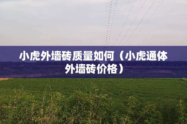 小虎外墙砖质量如何（小虎通体外墙砖价格）