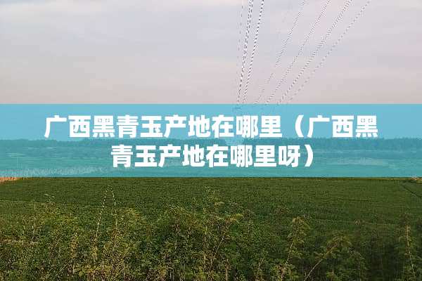 广西黑青玉产地在哪里（广西黑青玉产地在哪里呀）