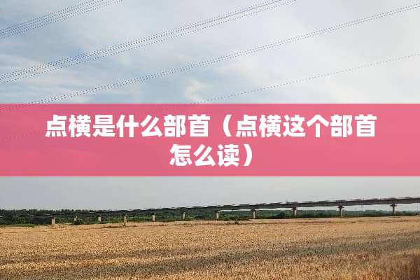 点横是什么部首（点横这个部首怎么读）