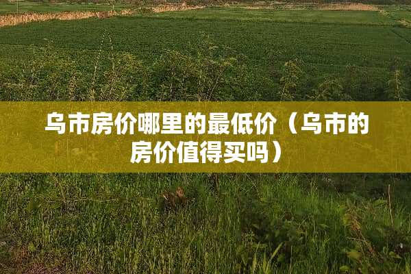 乌市房价哪里的最低价（乌市的房价值得买吗）