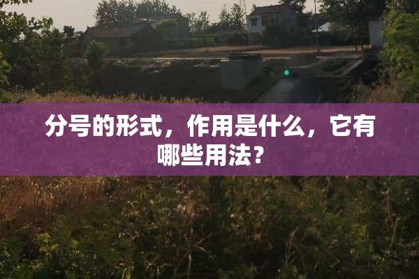 分号的形式，作用是什么，它有哪些用法？