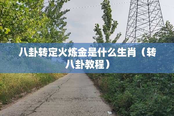 八卦转定火炼金是什么生肖（转八卦教程）