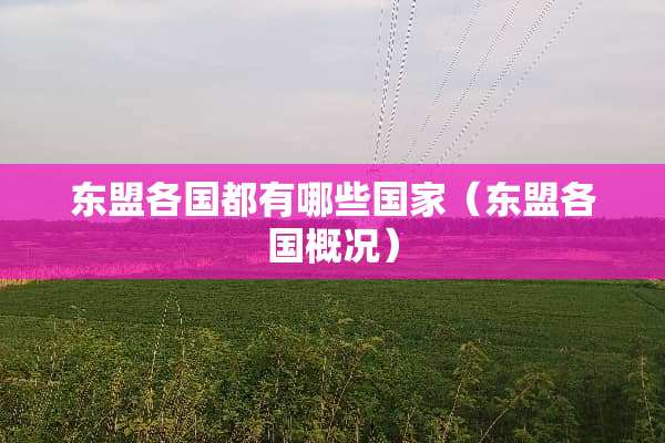 东盟各国都有哪些国家（东盟各国概况）