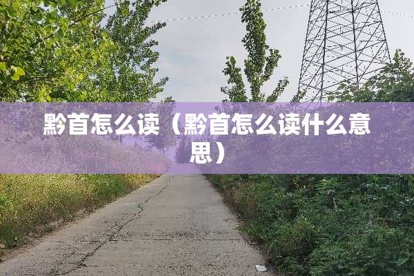 黔首怎么读（黔首怎么读什么意思）