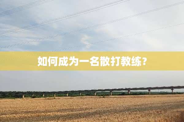 如何成为一名散打教练？