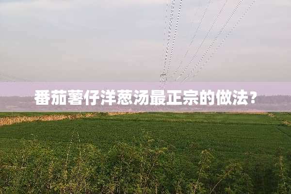 番茄薯仔洋葱汤最正宗的做法？
