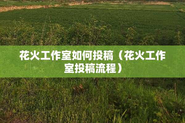 花火工作室如何投稿（花火工作室投稿流程）