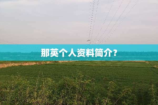 那英个人资料简介？