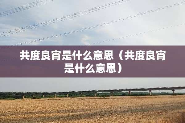 共度良宵是什么意思（共度良宵是什么意思）