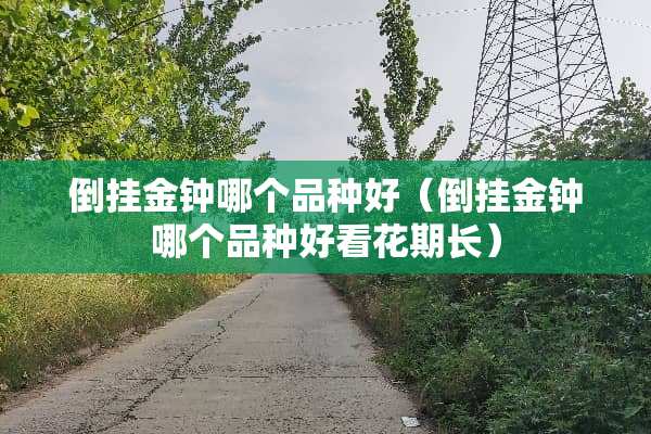 倒挂**哪个品种好（倒挂**哪个品种好看花期长）