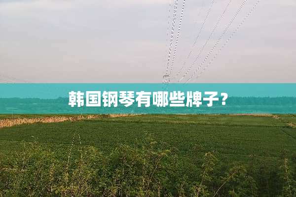 韩国钢琴有哪些牌子？