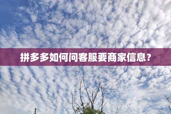 拼多多如何问客服要商家信息？