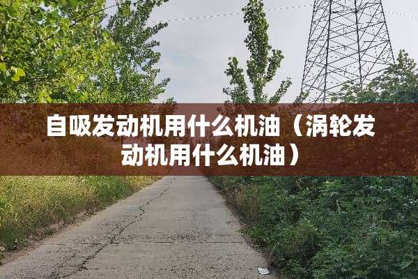 自吸发动机用什么机油（涡轮发动机用什么机油）