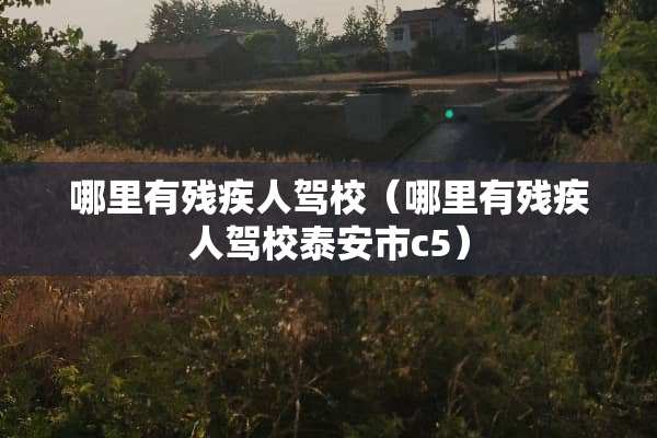 哪里有残疾人驾校（哪里有残疾人驾校**市c5）
