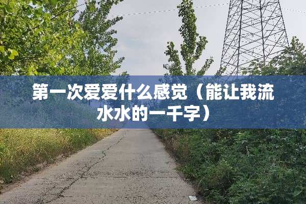 第一次爱爱什么感觉（能让我流水水的一千字）