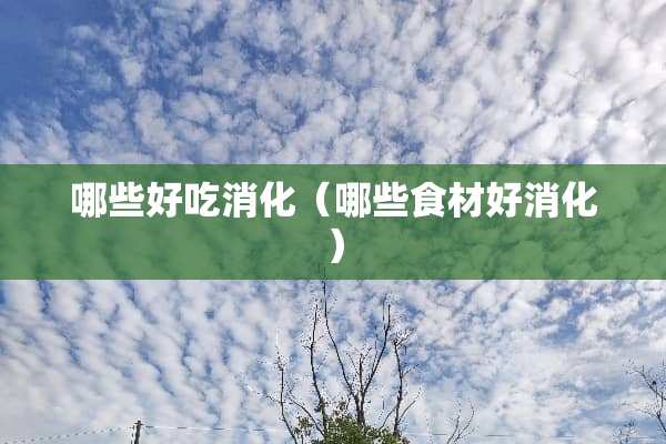 哪些好吃消化（哪些食材好消化）