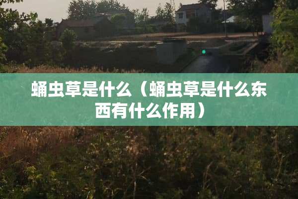 蛹虫草是什么（蛹虫草是什么东西有什么作用）