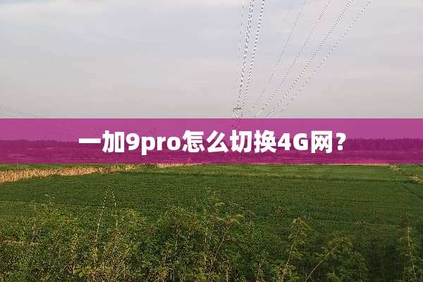 一加9pro怎么切换4G网？