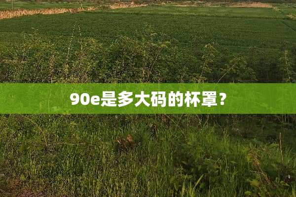90e是多大码的杯罩？