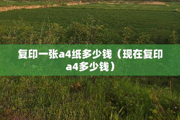 复印一张a4纸多少钱（现在复印a4多少钱）