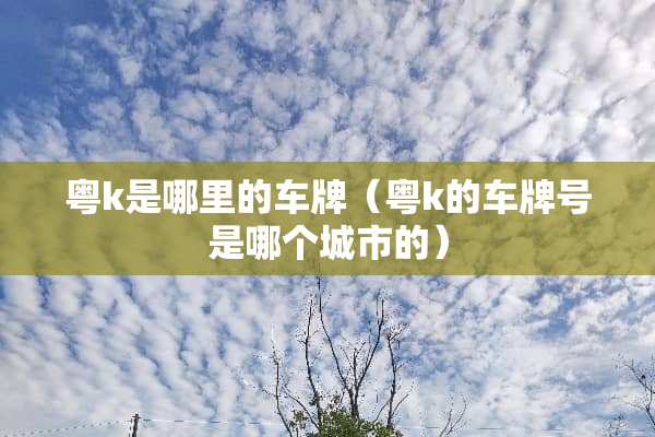 粤k是哪里的车牌（粤k的***是哪个城市的）