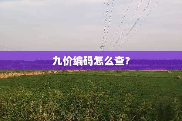 九价编码怎么查？