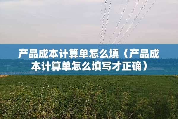 产品成本计算单怎么填（产品成本计算单怎么填写才正确）