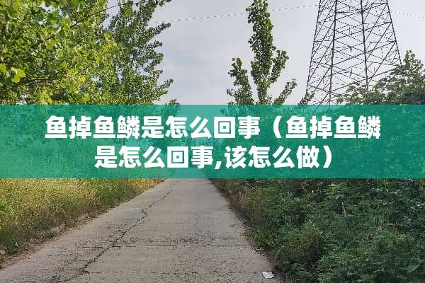 鱼掉鱼鳞是怎么回事（鱼掉鱼鳞是怎么回事,该怎么做）