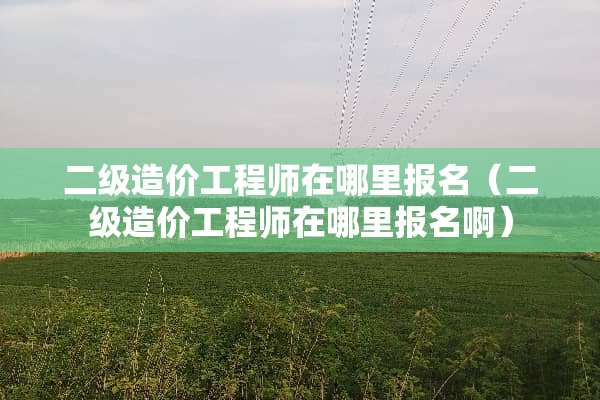 二级造价工程师在哪里报名（二级造价工程师在哪里报名啊）