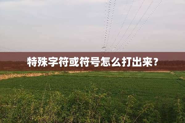 特殊字符或符号怎么打出来？