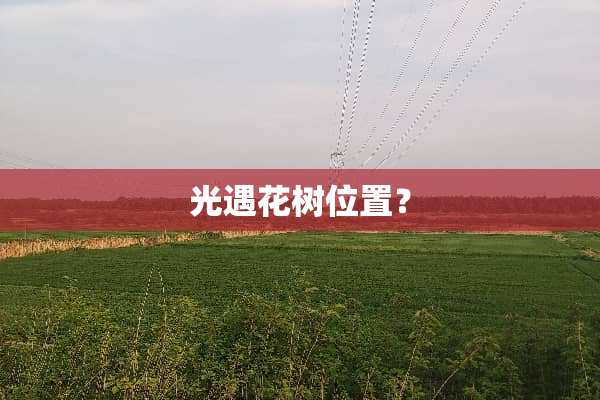 光遇花树位置？