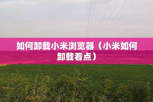 如何卸载小米浏览器（小米如何卸载看点）