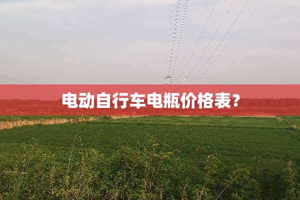电动自行车电瓶价格表？