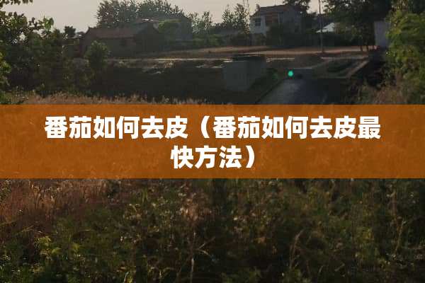 番茄如何去皮（番茄如何去皮最快方法）