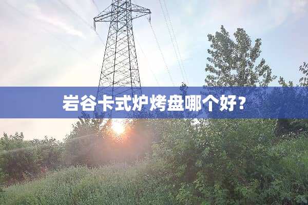 岩谷卡式炉烤盘哪个好？